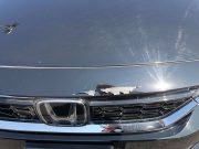 Honda Clarity paint defect