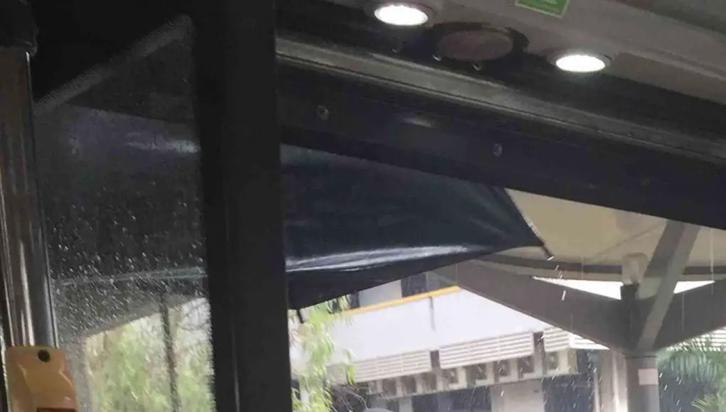 Singapore bus driver holds umbrella