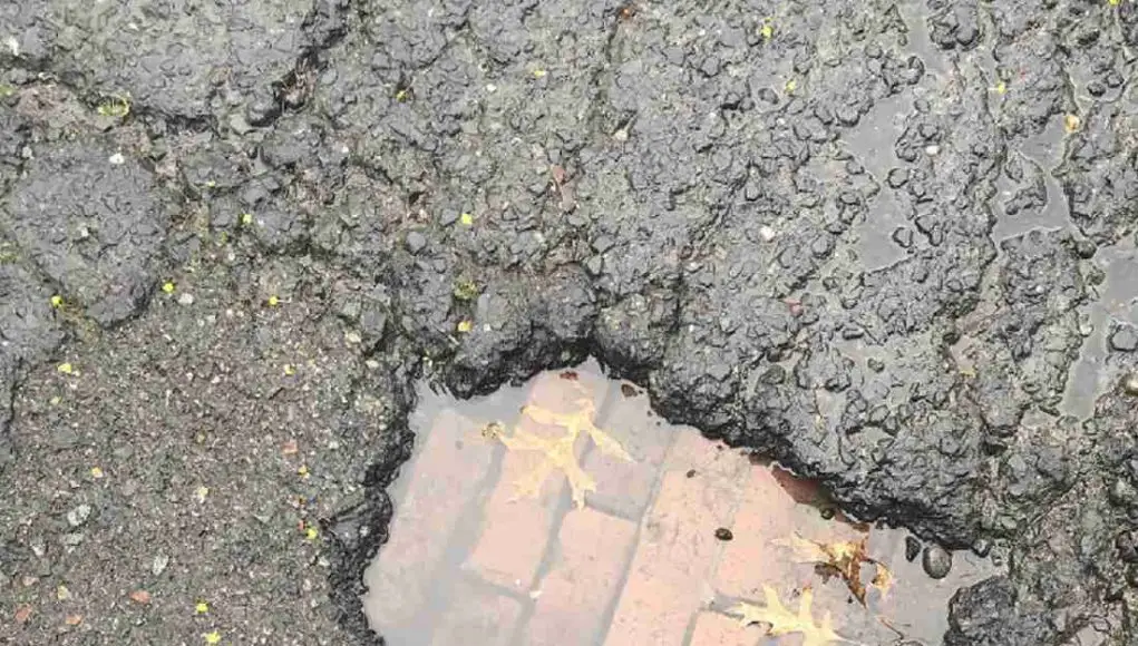 Brick Road underneath Seattle Pothole