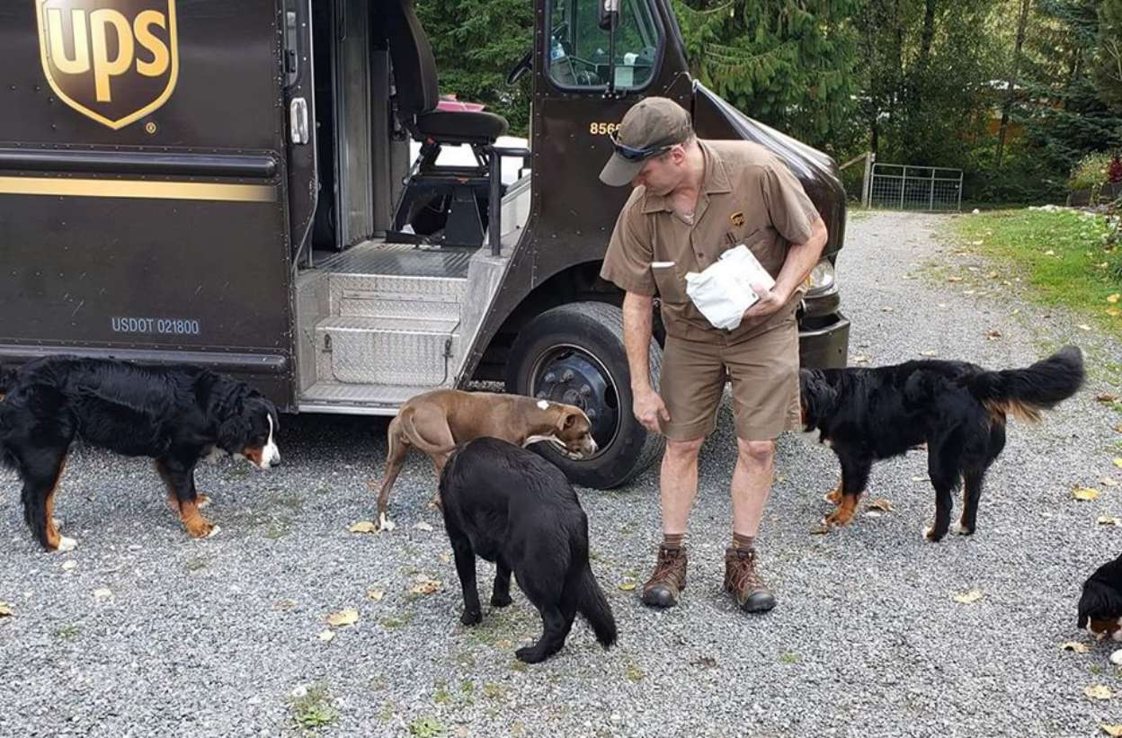 Facebook & Instagram page posts UPS Drivers and dogs they meet Alt Car news