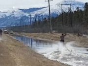 This plucky Yukon Canadian went water skiing in a drainage ditch
