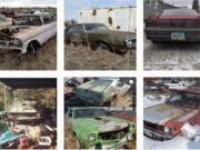 Rotting American Classics Instagram posts