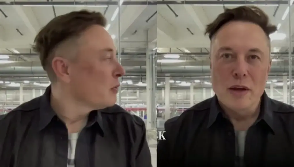 The sides and front of Elon Musk's new hairstyle