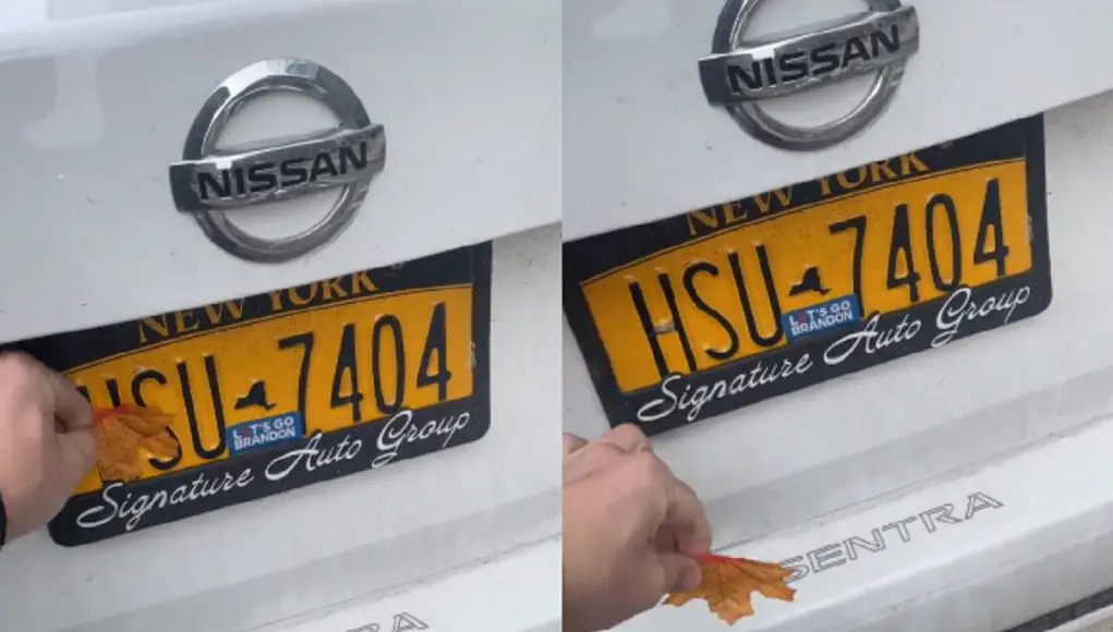 A NYC Court officer's license plate obscured by a leaf sticker to cheat