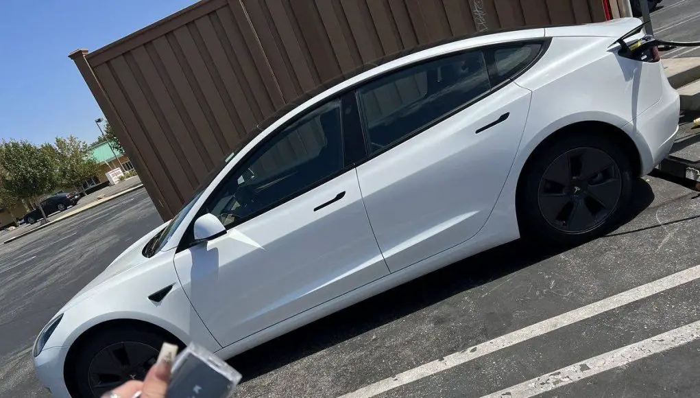 Fan buys Viperous a Tesla