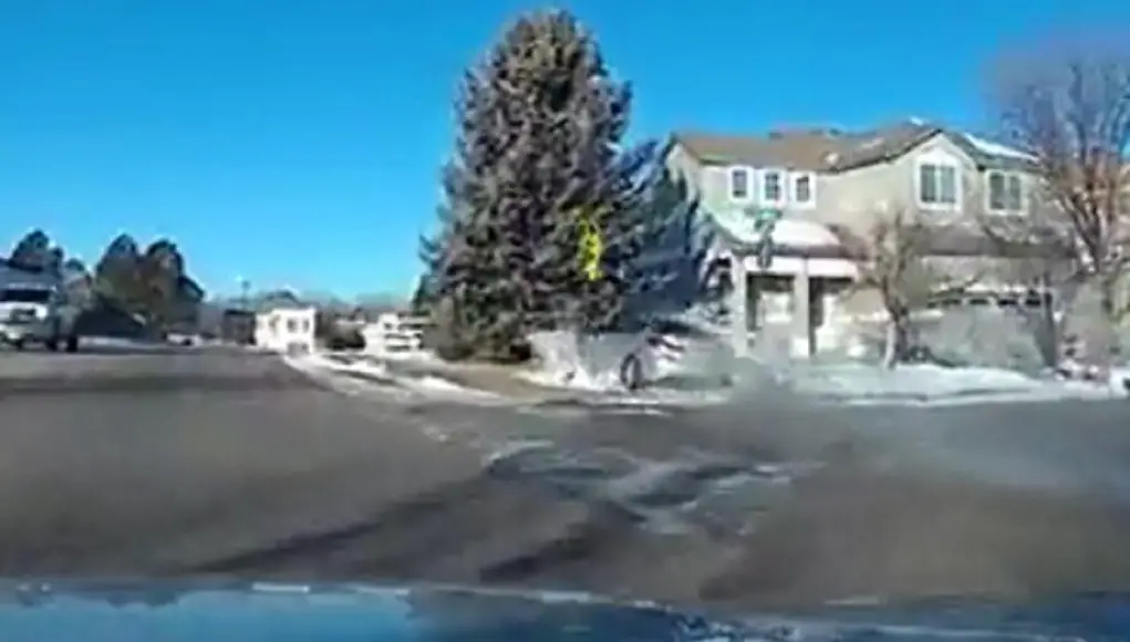 Car in Aurora crashes into a tree attempting an overtaking manuever.