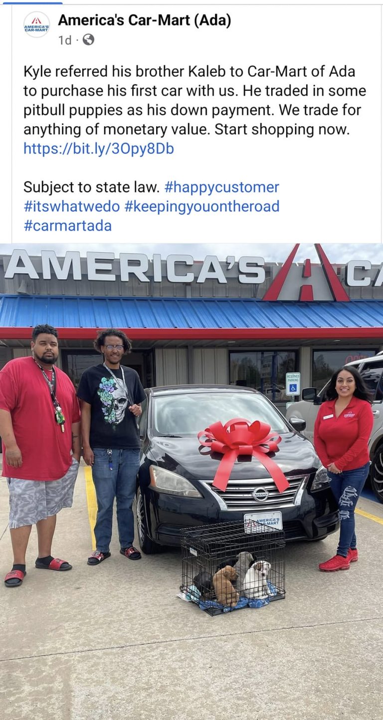 Did two brothers really use pitbull puppies as down payment on a Nissan