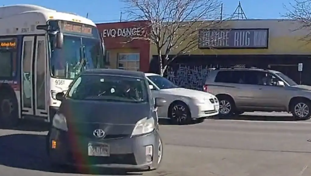 Prius cuts in front of RTD articulated bus in Denver turning right.