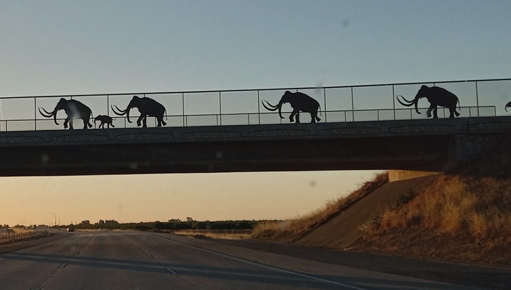 Mammoth silhouettes on Highway 99 in Merced/Madera.