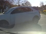 NH Motorist caught hocking loogie after running stop sign.