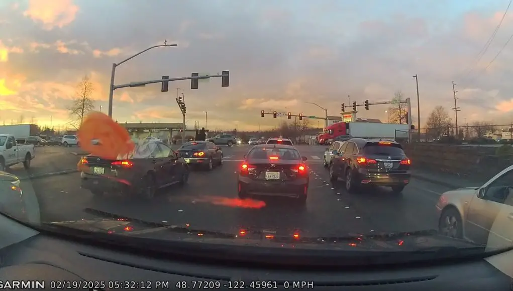 Idiot teen in Bellingham caught on dashcam hurling tomato slice at dashcam owner's windshield for no good reason.