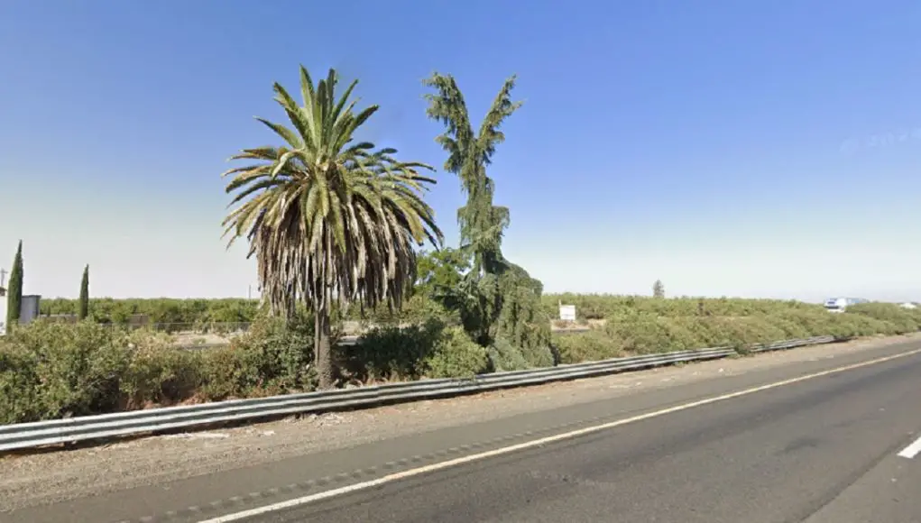 The Palm and the Pine as seen on Google Maps.