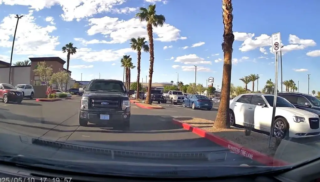 Idiot almost collides head-on with dashcam owner in Trader Joe's Parking lot off Washington Ave.