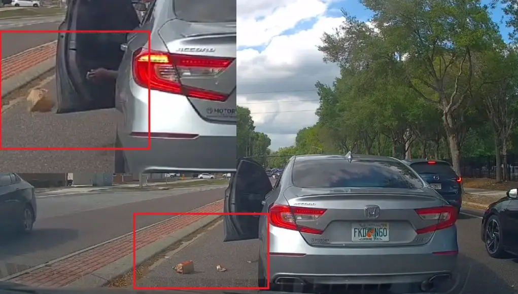 Gainesville littering on SW 523nd St Driver on SW 52nd St caught on dashcam tossing whole bag of fast food out onto the road.