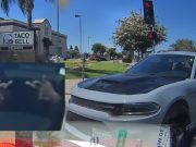 Santa Ana, CA: Bird Brain In Dodge Charger on Grand & 17th Turning Right Fails To Yield, Almost Crashes Into Dashcam Owner Making U-Turn Dodge Charger driver on Grand & 17th fails to yield on right on red, almost crashes head-on into dashcam owner making u-turn with right of way.