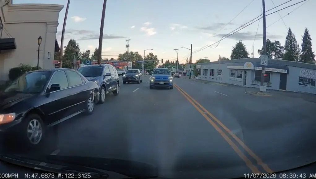 Distracted driver on their phone on Lake City Way gets instant karma, slams into the back of stopped driver.