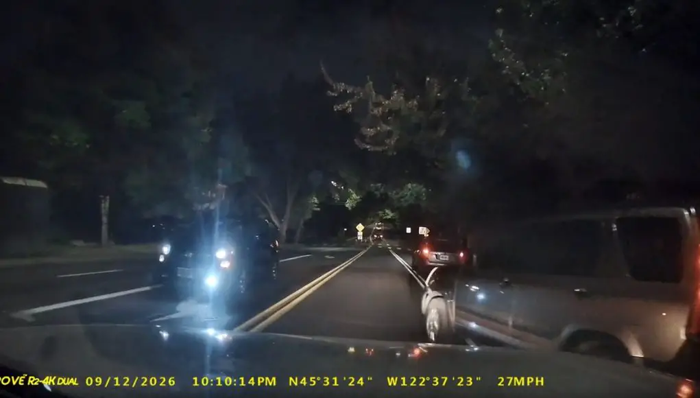 Portland, OR: Goofball Turning Onto Cesar Chavez from Burnside Refuses To Yield, Comes Within Inches Of T-bone Accident With Dashcam Owner Right-on-red turner onto Cesar Chavez refuses to yield or wait a few more seconds, comes within inches of getting t-boned.